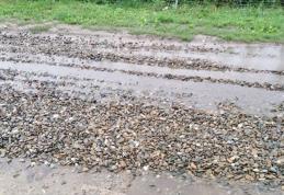 Primim la redacție – „Așteptăm să trimiteți un utilaj să îndrepte strada Oituz și apoi să puneți balastru!” - FOTO