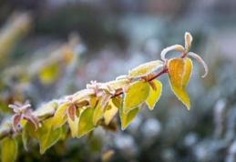 Vin ninsorile! Cum va fi vremea în următoarele săptămâni