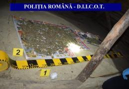 Un kilogram de cannabis, descoperit în urma unor percheziții în orașul Darabani - FOTO