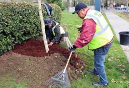 Legea a fost promulgată! Te poți angaja imediat, fără facultate!