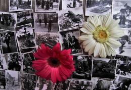 Un gând înalt, însemn de respect pentru Armata Română și Veteranilor români - VIDEO