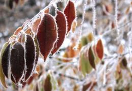 Vremea rea lovește România. Ne așteaptă lapoviță și ninsoare!