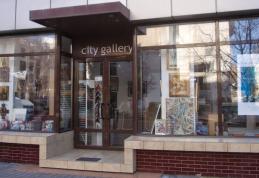 PUNCT DE VEDERE al Consiliului Judeţean Botoşani referitor la situația de la City Gallery