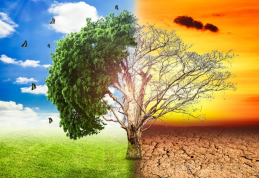 Săptămâna Educației Globale -„E lumea noastră și acționăm împreună!” - FOTO