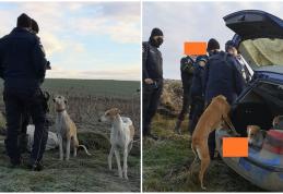 Braconieri amendați de jandarmi pentru vânătoare cu ogari - FOTO