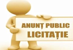 Primăria Dorohoi organizează licitaţie publică cu strigare în vederea vânzării a 2 cabaline
