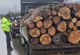 Dosar penal pentru un tânăr de 29 de ani din comuna Ibănești