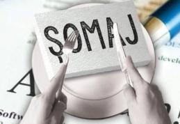 AJOFM Botoșani informează agenții economici privind acordarea ajutorului de șomaj