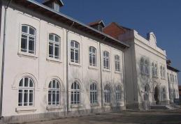 Liceul „Al. Vlahuță” Șendriceni organizează concursuri pentru posturile de administrator patrimoniu și fochist