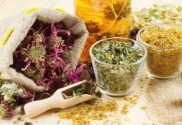 Trei plante care te ajută să-ţi reglezi tensiunea