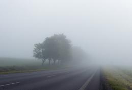 Dorohoi: Cod galben de ceață emis de ANM