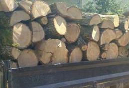 Transport ilegal de lemne depistat de polițiștii botoșăneni