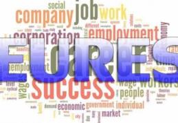 AJOFM Botoșani face cunoscută oferta locurilor de muncă vacante în Uniunea Europeană