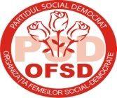 OFSD Botoșani: Puncte de vedere cu privire la Legea asistenței sociale