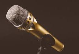 Festivalul - Concurs Național de muzică ușoară românească „Mărțișorul” - Botoșani - ediția I, 6 martie 2021