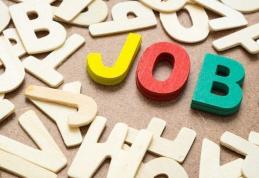 Peste 500 de locuri de muncă vacante în județul Botoșani în această săptămână