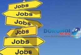 AJOFM Botoșani face cunoscută oferta locurilor de muncă vacante în Uniunea Europeană