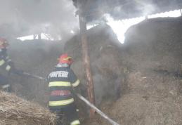 Intervenție a pompierilor din Dorohoi: Tone de furaje protejate de foc la Brăești - FOTO