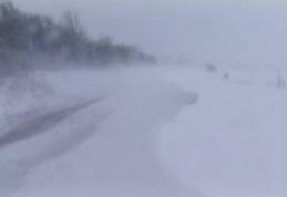 Viscolul pune mari probleme în Nordul și Estul județului