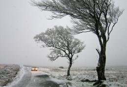 Atenție! Cod Portocaliu de vânt puternic în județul Botoșani până la ora 17.00! 