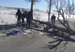 Pompieri voluntari blocați de un copac căzut în mijlocul drumului în timp ce mergeau la un incendiu