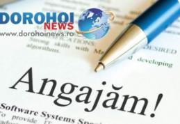 Seminarul Teologic din Dorohoi face angajări