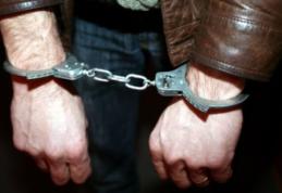 Doi botoșăneni reținuți pentru furt, distrugere, violare de domiciliu și uciderea animalelor cu intenție