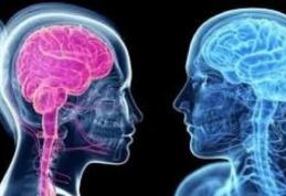 Care este diferența majoră între creierul bărbaților și cel al femeilor
