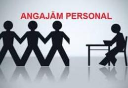 Societate comercială din Dorohoi angajează muncitori calificați sau necalificați