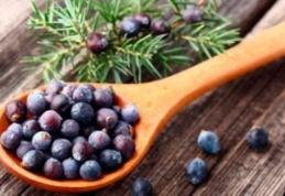 Planta care te ajută să slăbești