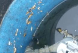 Primim la redacție – Strigăt de disperare al unor cetățeni din Dorohoi – FOTO