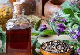 Remedii naturiste pentru diverse boli folosind tătăneasa