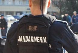 IJJ Botoșani: Jandarmii au dreptul să legitimeze, să efectueze control corporal asupra persoanei și bagajului acesteia în cadrul unor proteste