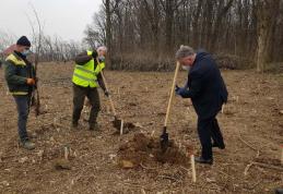 Prefectul Dan Nechifor a dat startul „Lunii plantării arborilor” - FOTO