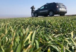 Peste 1.000 de poliţişti de frontieră vor fi la datorie în perioada Sărbătorilor Pascale Catolice