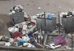 Primim la redacție – Ridicarea gunoiului a devenit o problemă în Dorohoi – FOTO