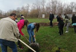 „UN POM – O VIAȚĂ” - activitate în comuna Viișoara - FOTO