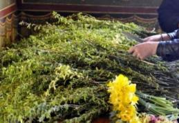 Tradiții și superstiții de Florii. Ce se face în Duminica Patimilor 