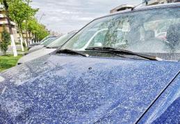 Se anunță furtuni și un val de praf care se îndreaptă spre noi din nordul Saharei