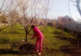 Ziua Pământului 2021 la Școala Cornerstone Dorohoi - Mișcare pentru protejare - FOTO | VIDEO