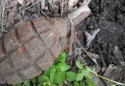 Grenadă descoperită în grădina unui localnic din Cucuteni