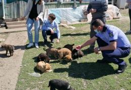 Zece căței abandonați salvați de Polițiștii din cadrul Biroului de Protecție a Animalelor - FOTO
