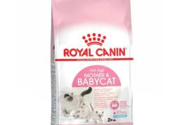 3 avantaje ale cumpărării de articole pentru animale de companie online