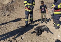 Câine blocat în mâl salvat de pompierii din Dorohoi - FOTO