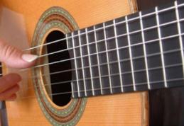 Premii obținute de tineri din Dorohoi, la Festivalul Național de muzică folk „SUNETUL MUZICII” Sibiu