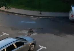 Primim la redacție – Canalizare înfundată la Dorohoi: „Mirosul infernal nu se poate descrie”