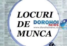 873 locuri de muncă vacante în județul Botoșani în această săptămână