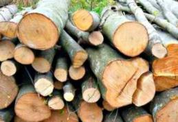 Material lemnos confiscat de polițiști