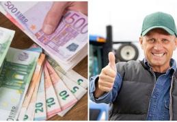 Statul oferă o sumă frumoasă pentru o categorie de români. Cum se primesc banii