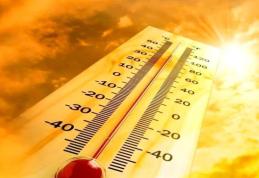 Trei zile de caniculă pentru județul Botoșani